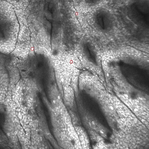 Compressed cell image example