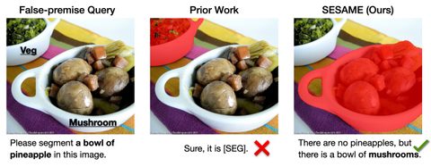 Artwork for See, Say, and Segment: Teaching LMMs to Overcome False Premises